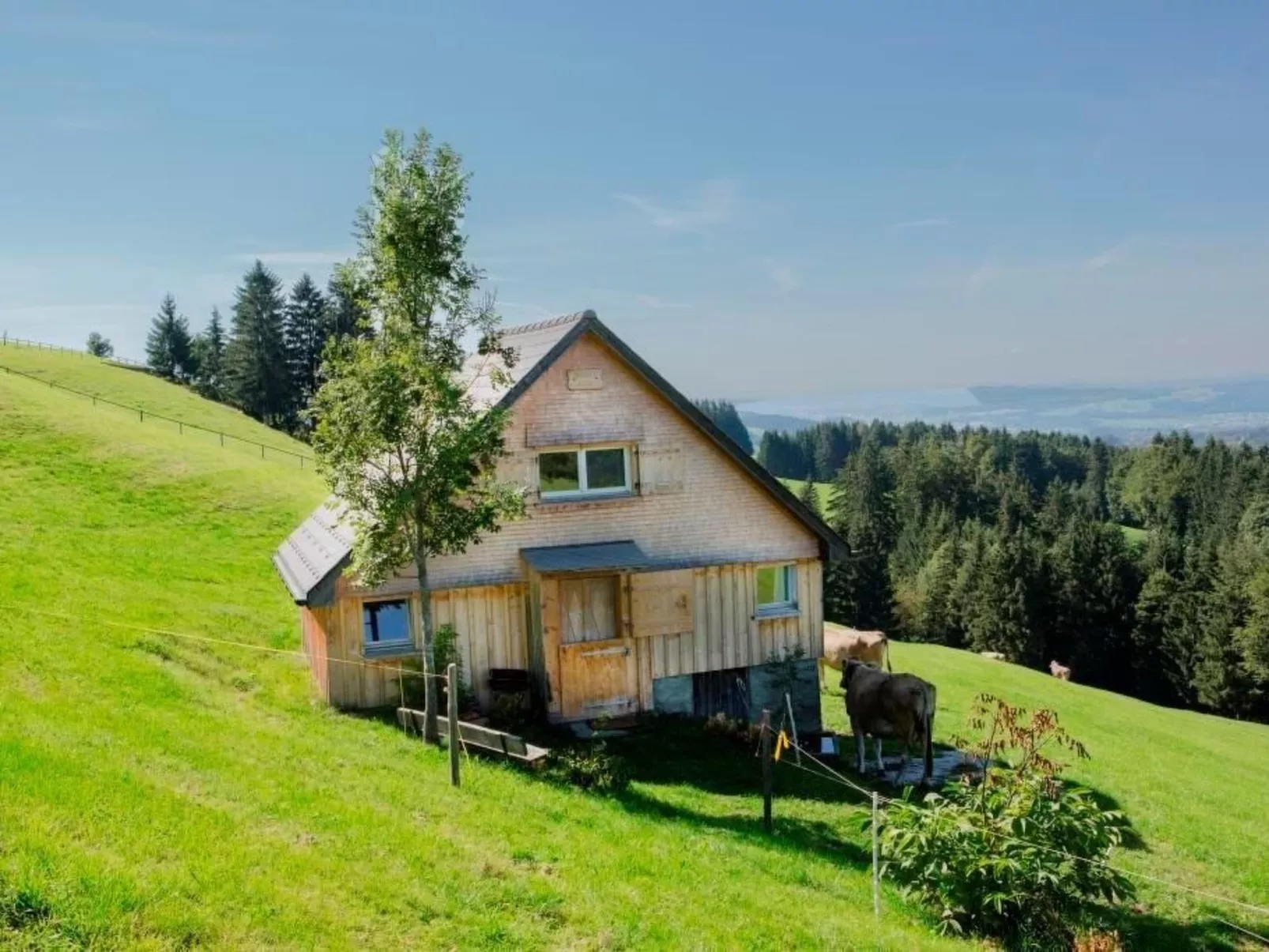 Bauernhof Fendrig  - neue Wohnung-Buiten
