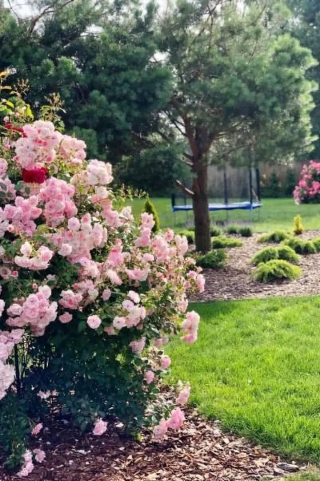 Bernsteinhaus-Image-tags.info