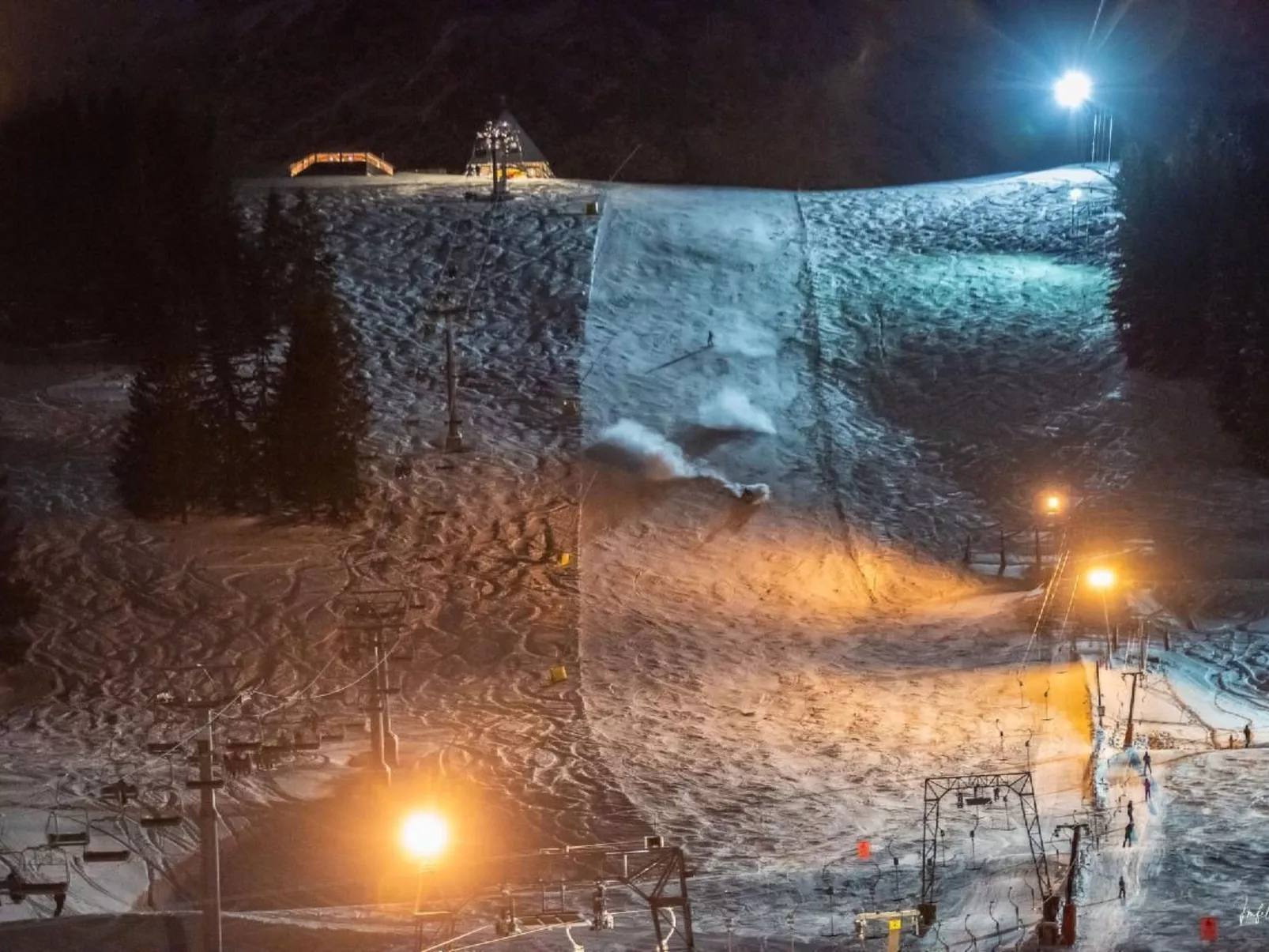 Steinadler-Image-tags.info