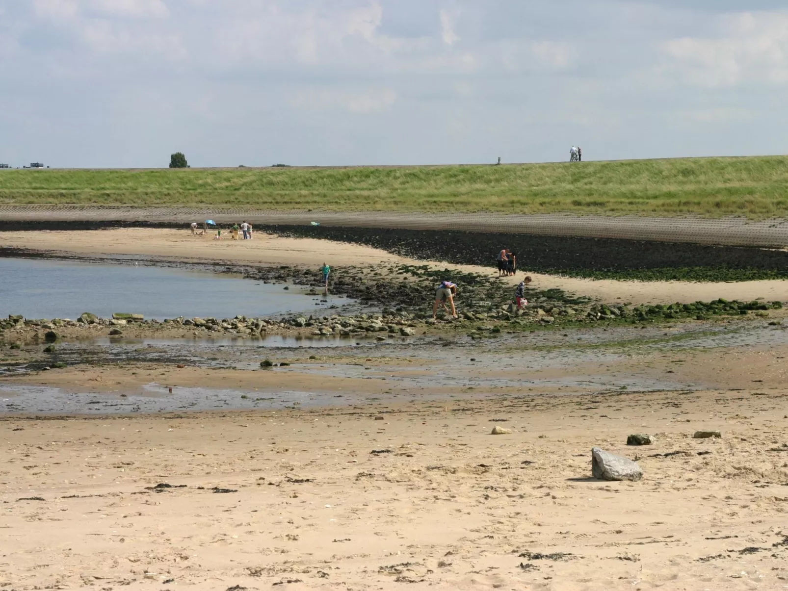 Gemütliches Haus mit komplett umzäuntem Garten-Buiten