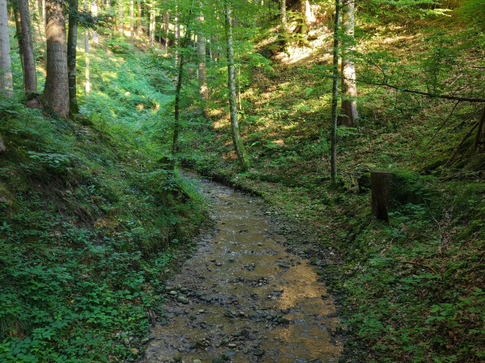 Bauernhaus VordereAu-Buiten