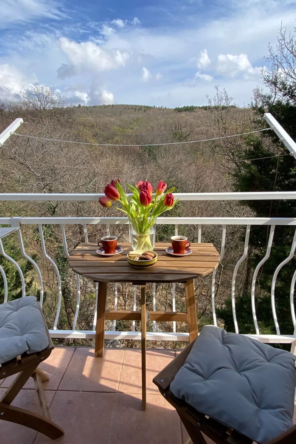 Villa Theresa-Image-tags.info