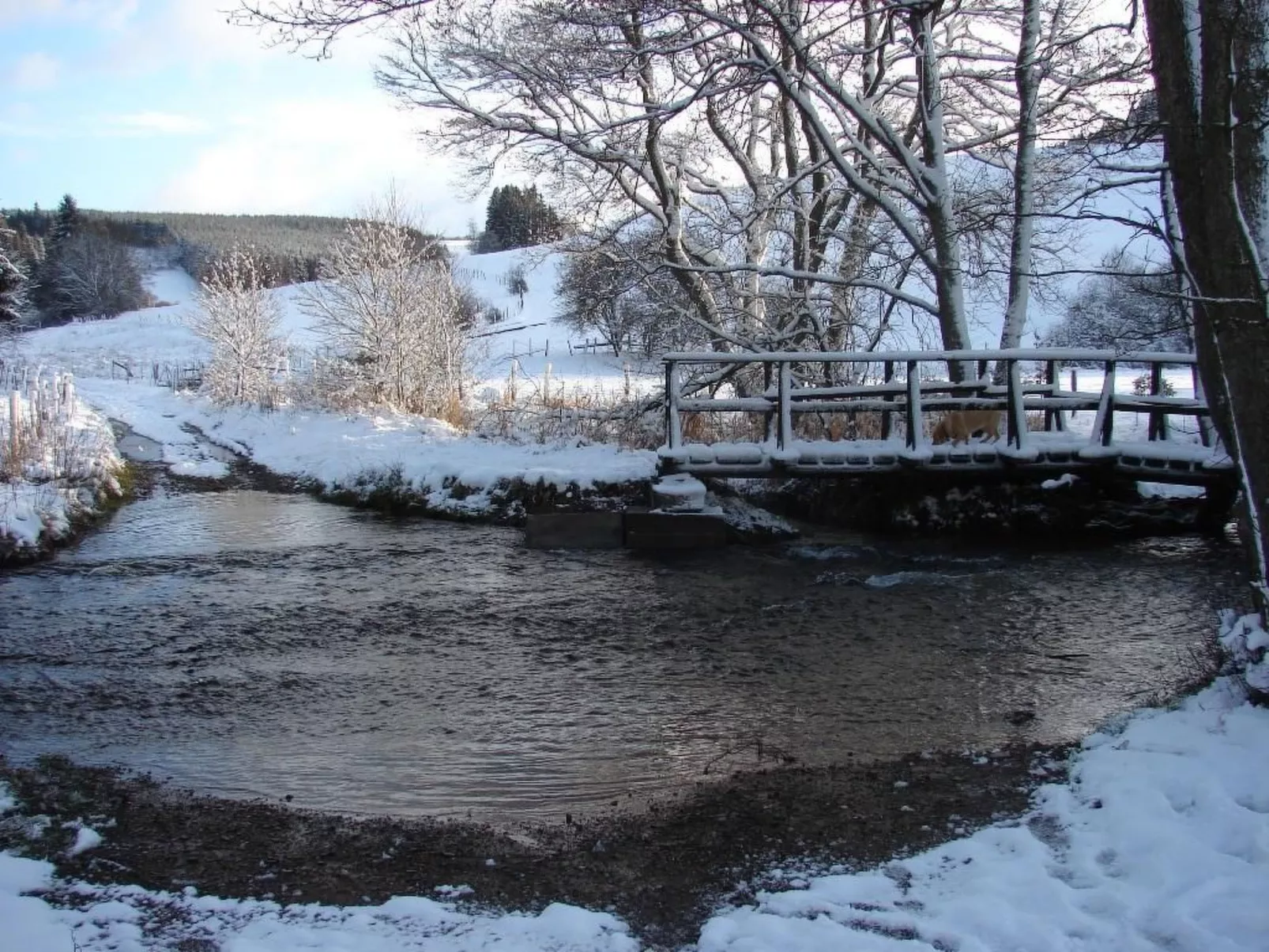 Snowview Lodge-Buiten