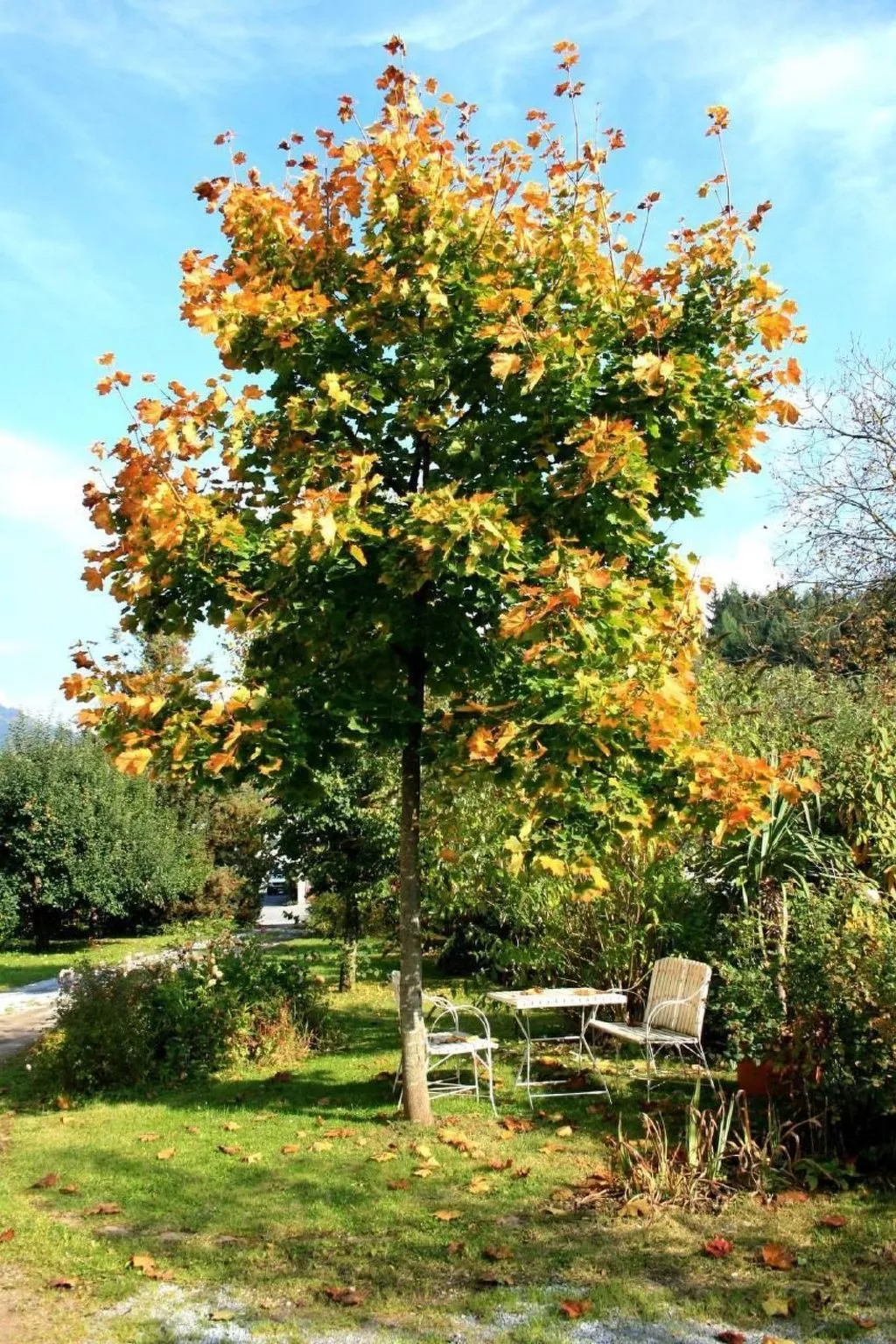 Fewo Altes Schulhaus-Buiten