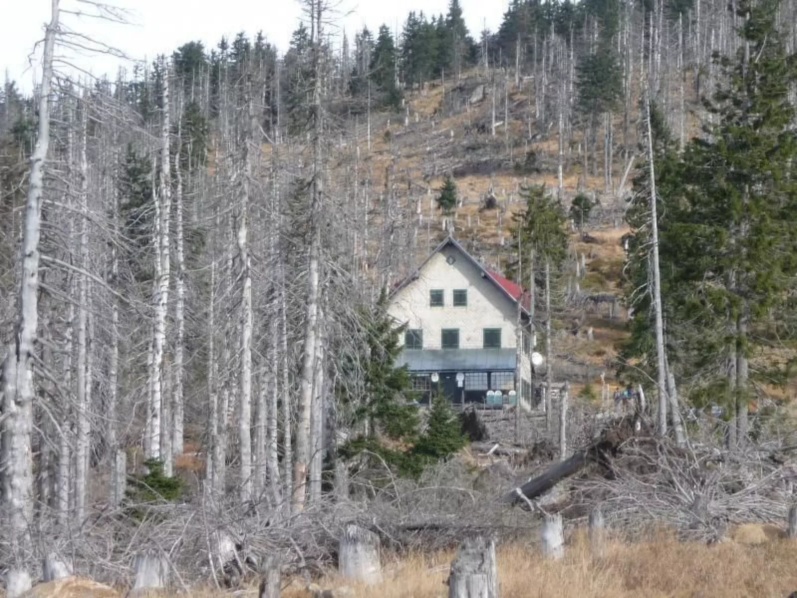 Gottal-Image-tags.info