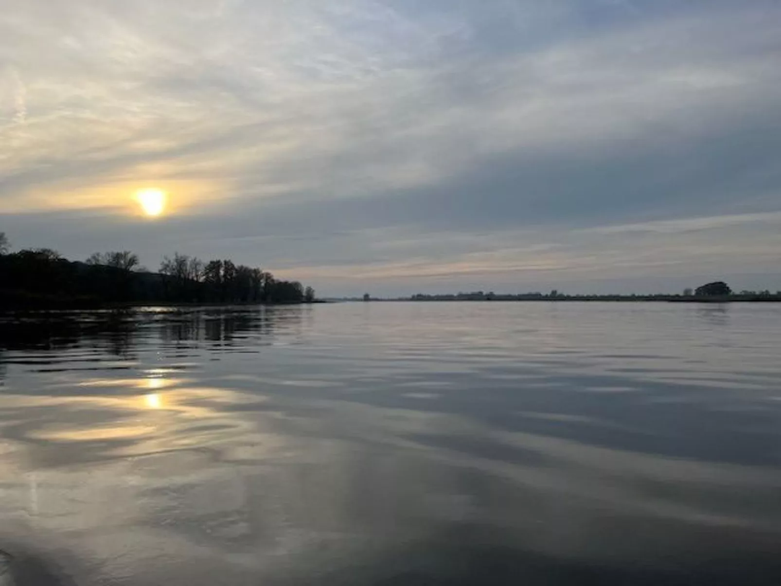 Haus Elbrose inmitten von Rosen mit Elbdeichzugang-Buiten