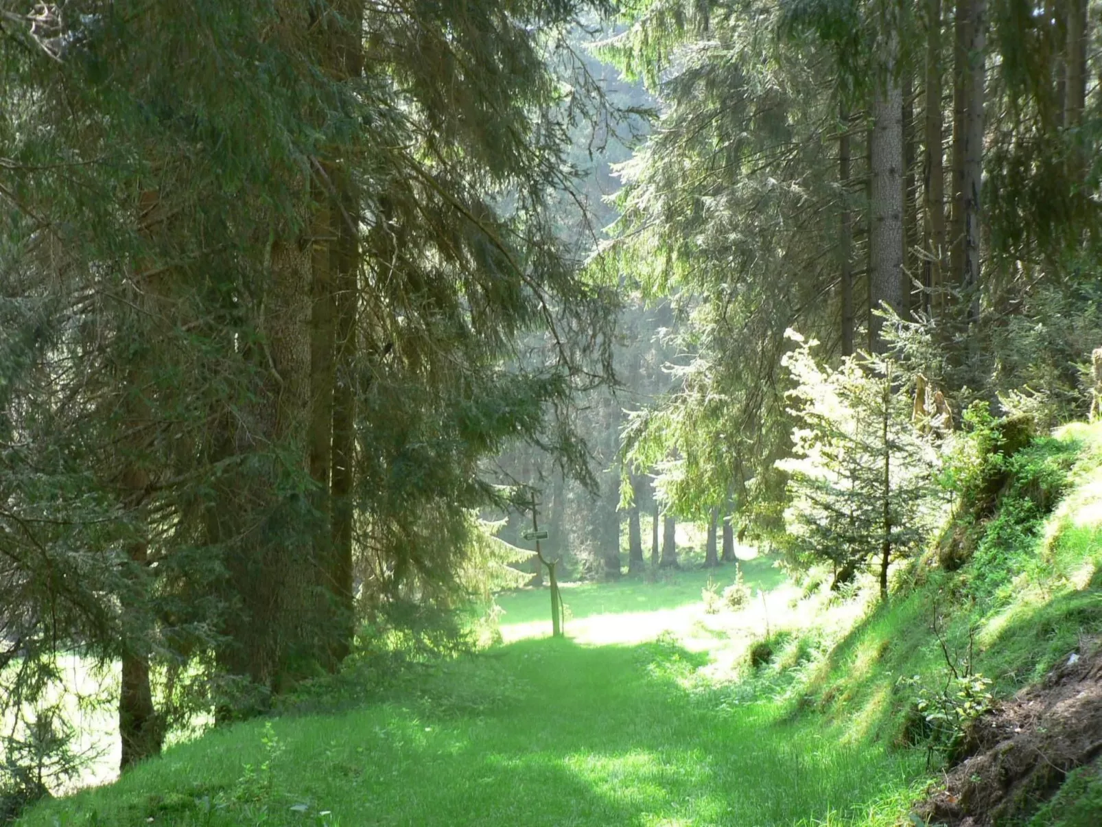 Für 9 Personen im Thüringer Wald-Buiten