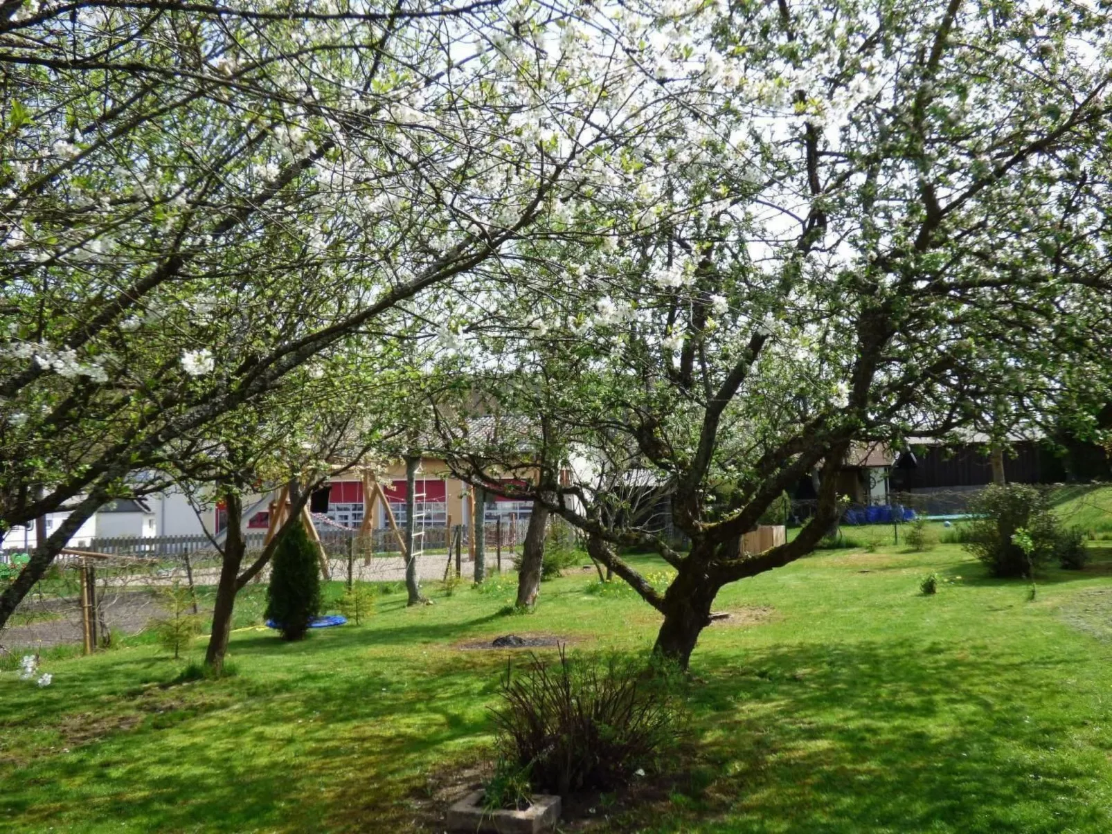 In Siesbach-Image-tags.info