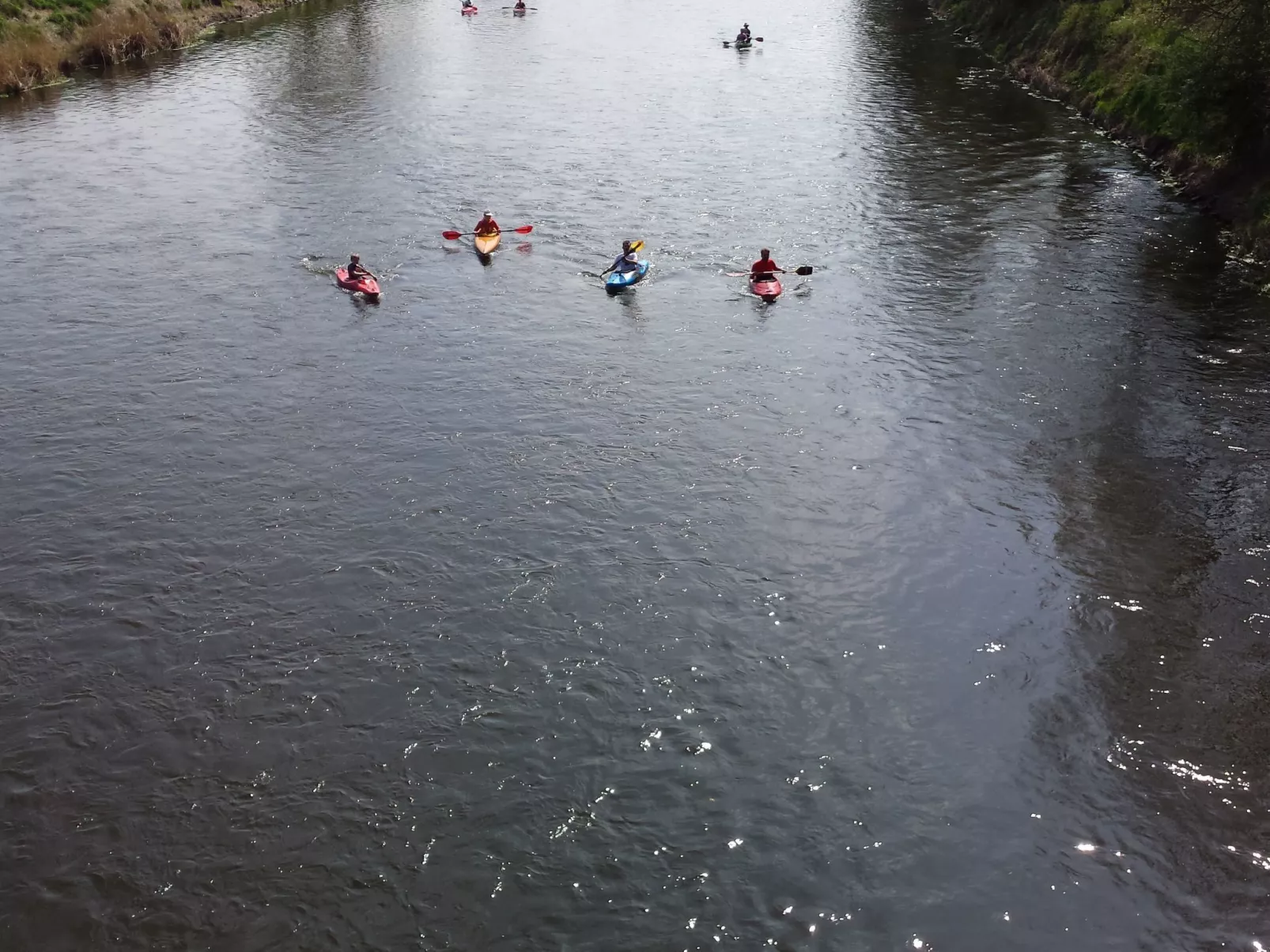 Antonia-Image-tags.info