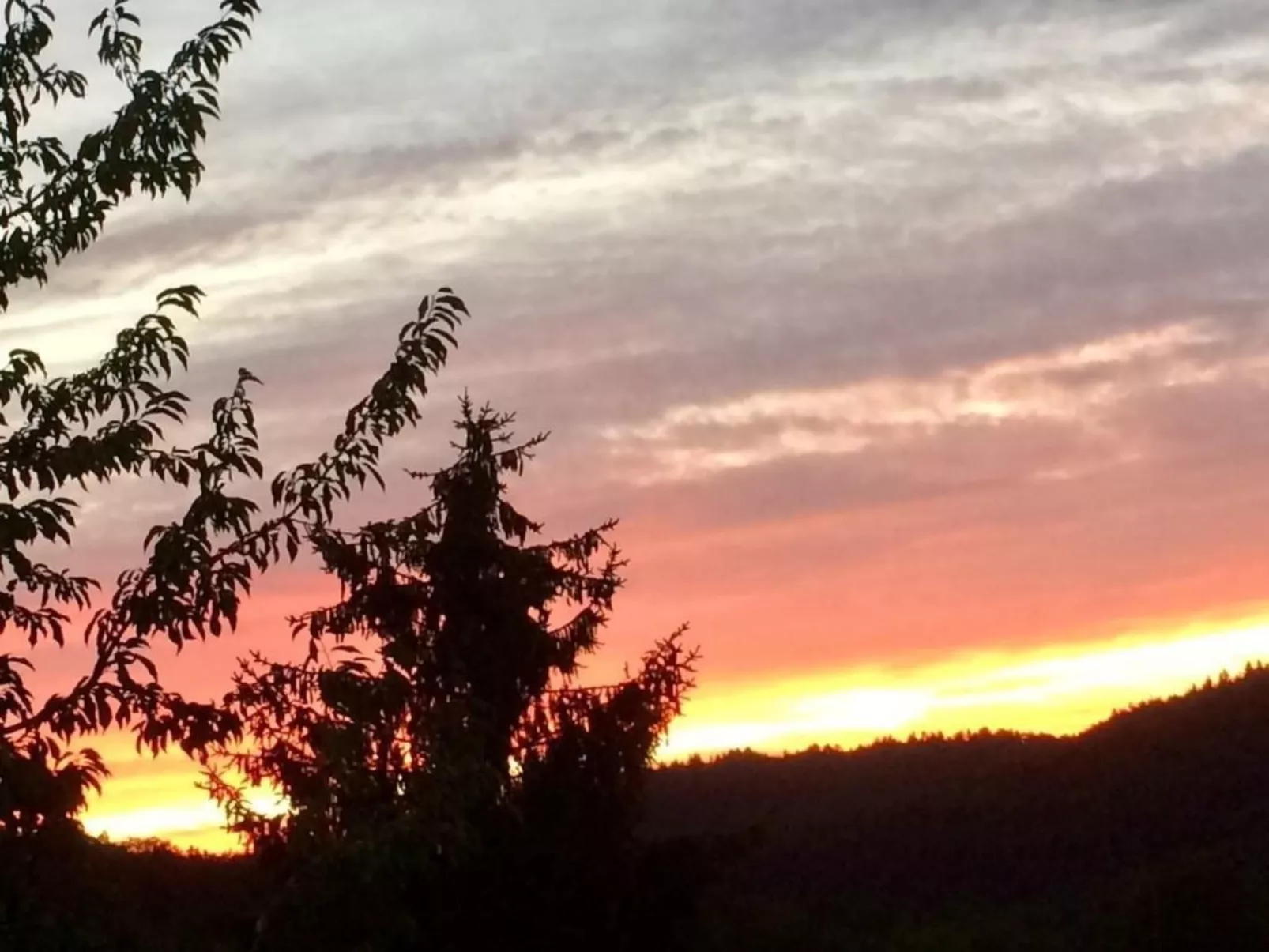 In Hauenstein mit Garten und Grill-Buiten