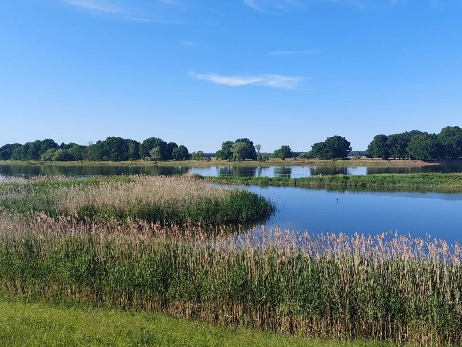 Studio Brennerei Haselberg-Buiten
