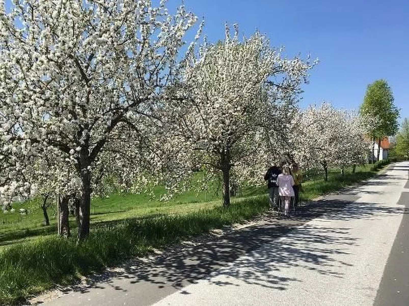 Thermen Apartment-Buiten