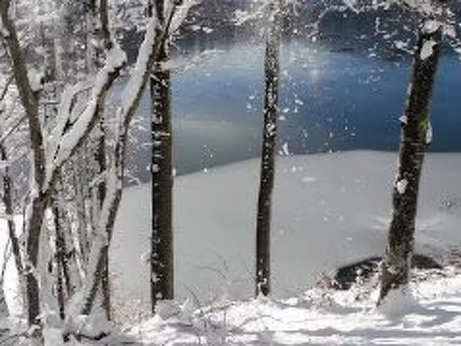 Direkt am Strand-Buiten