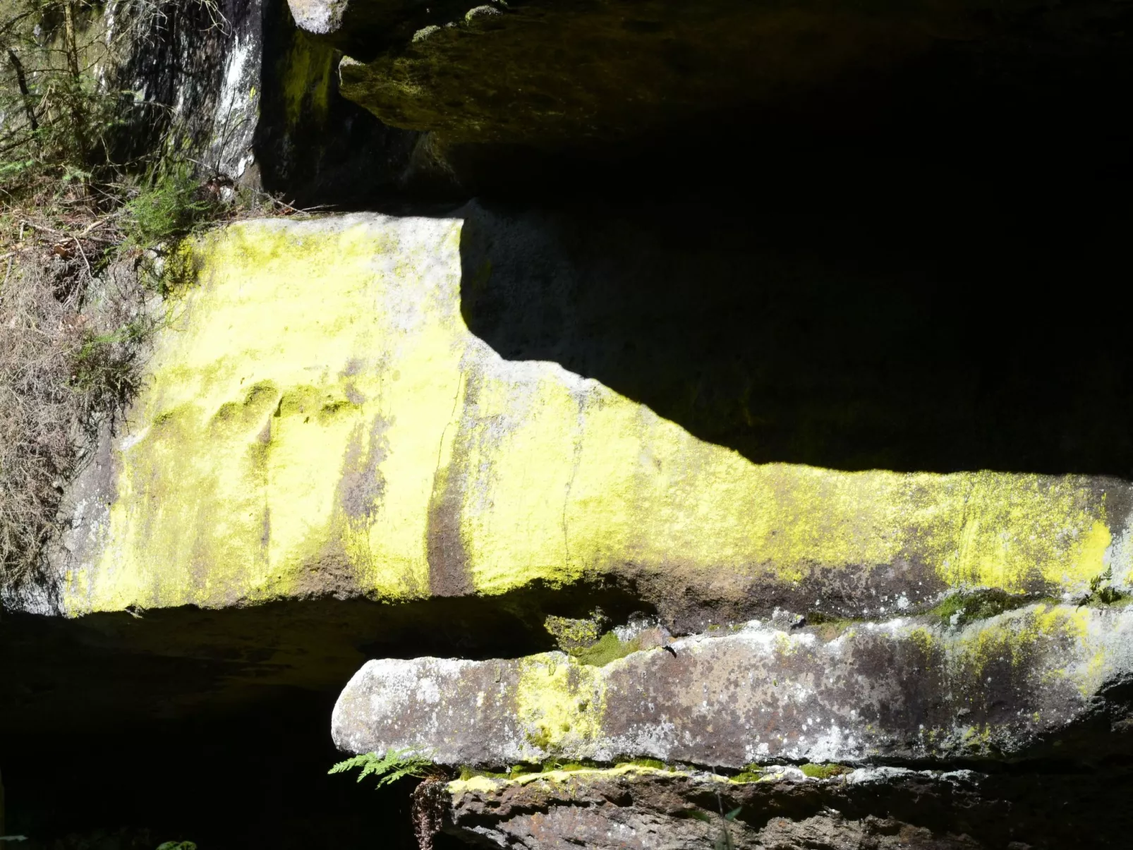 Panoramablick in Königstein-Buiten