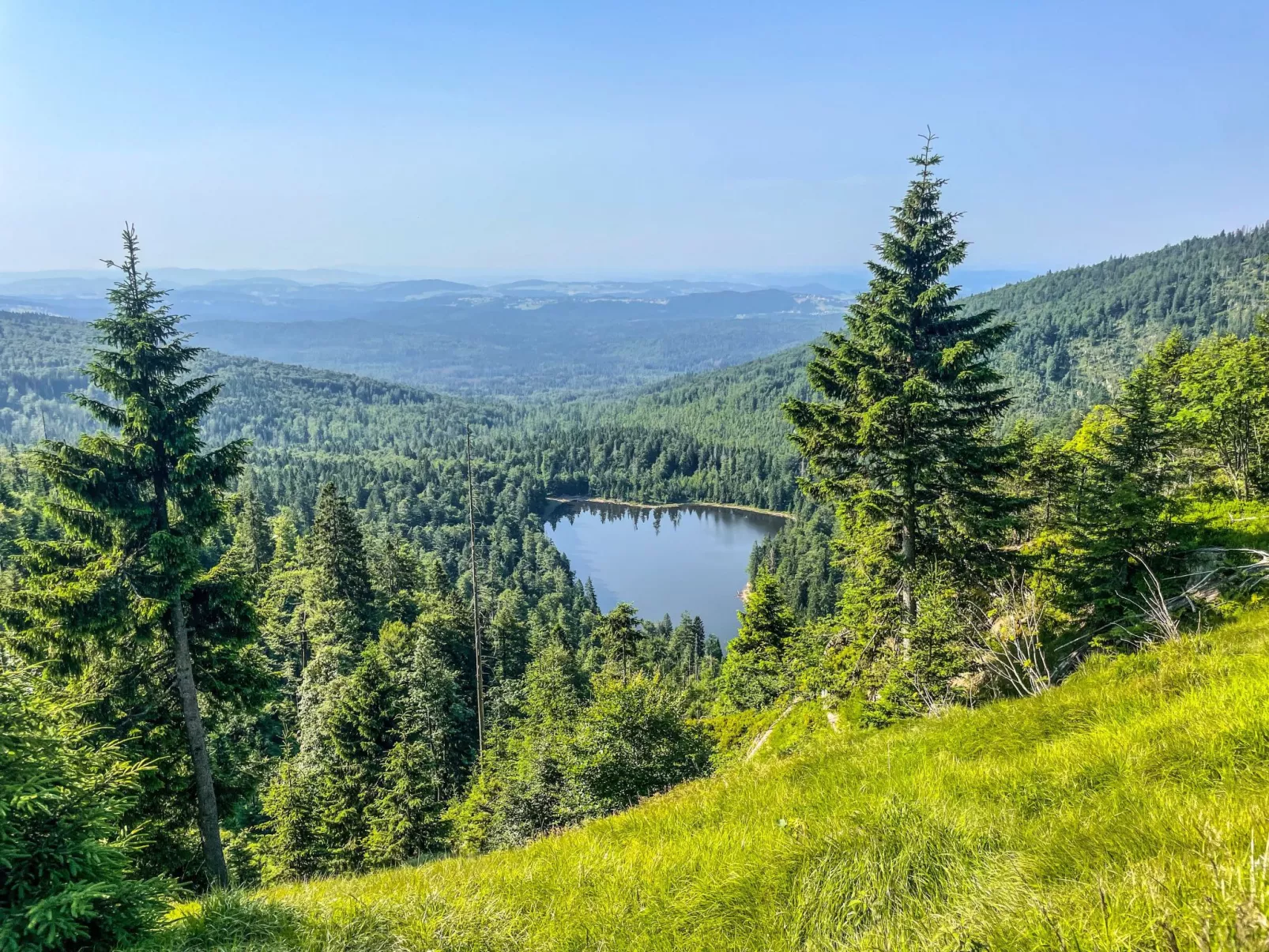 Landhaus Wildfeuer-Buiten