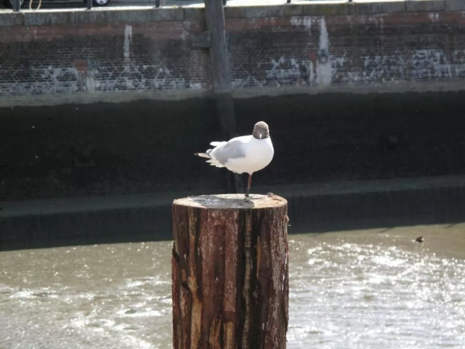 Mit Terrasse-Image-tags.info