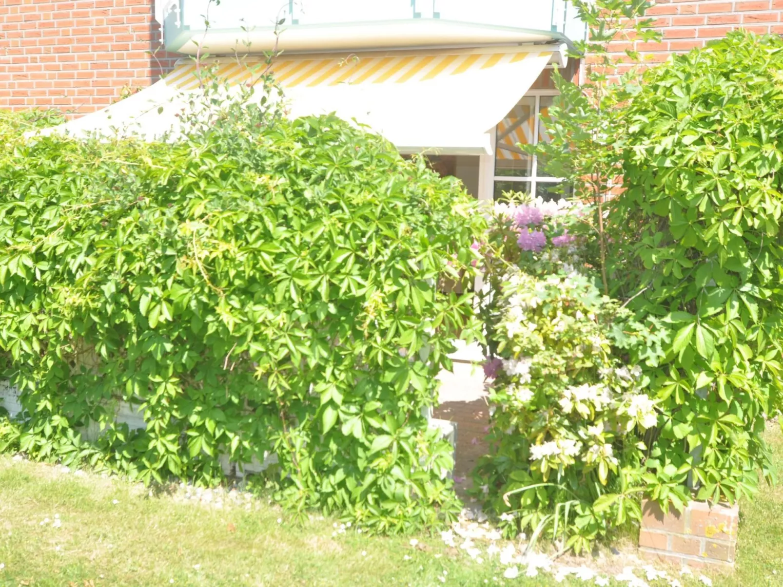 Entspannen auf der Südterrasse-Buiten