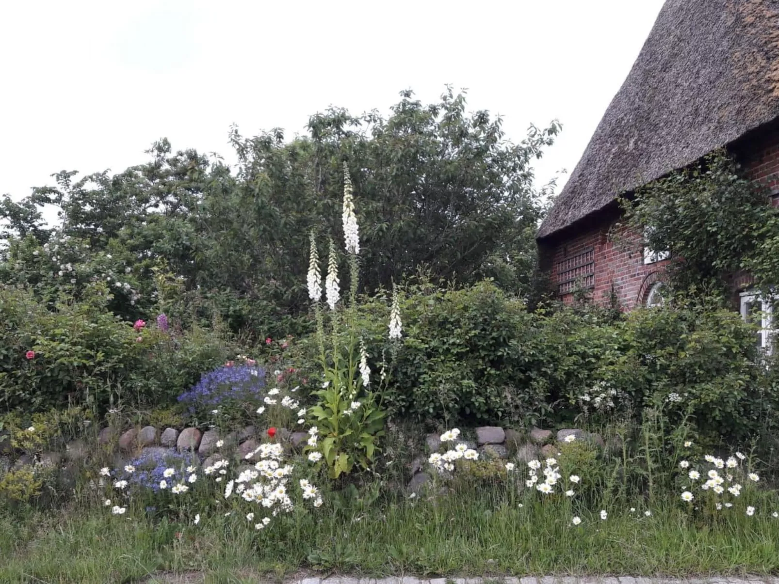 Fewo Meeresbrise-Buiten