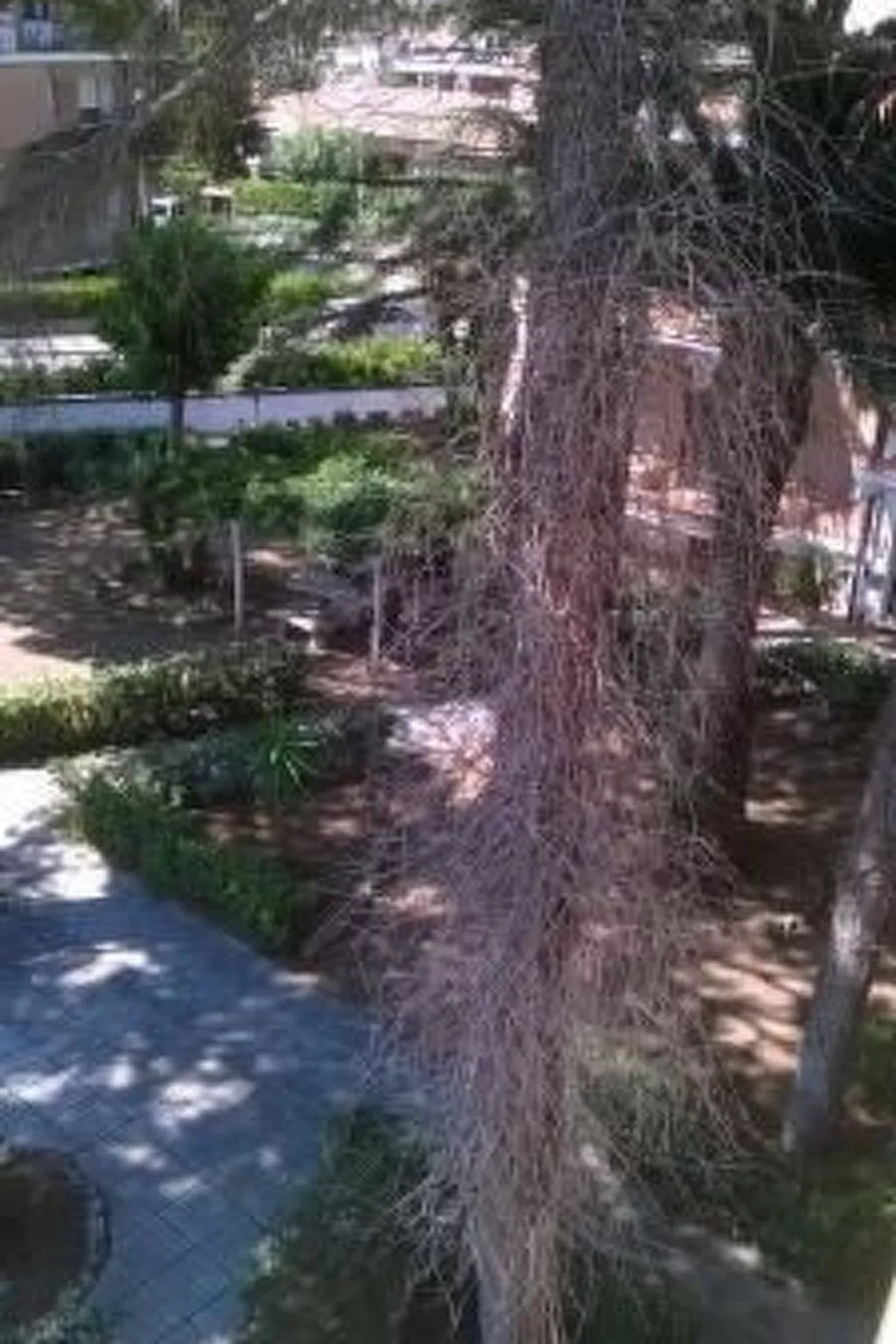 Penthouse mit großer Terrasse-Image-tags.info