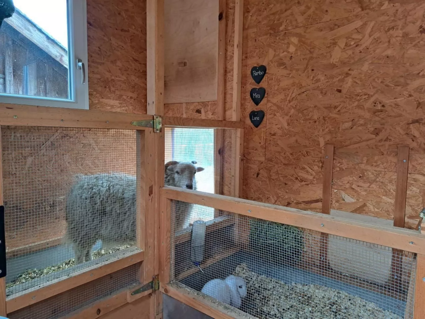 Ferien im Gugger - Wohnung Stockberg-Image-tags.info