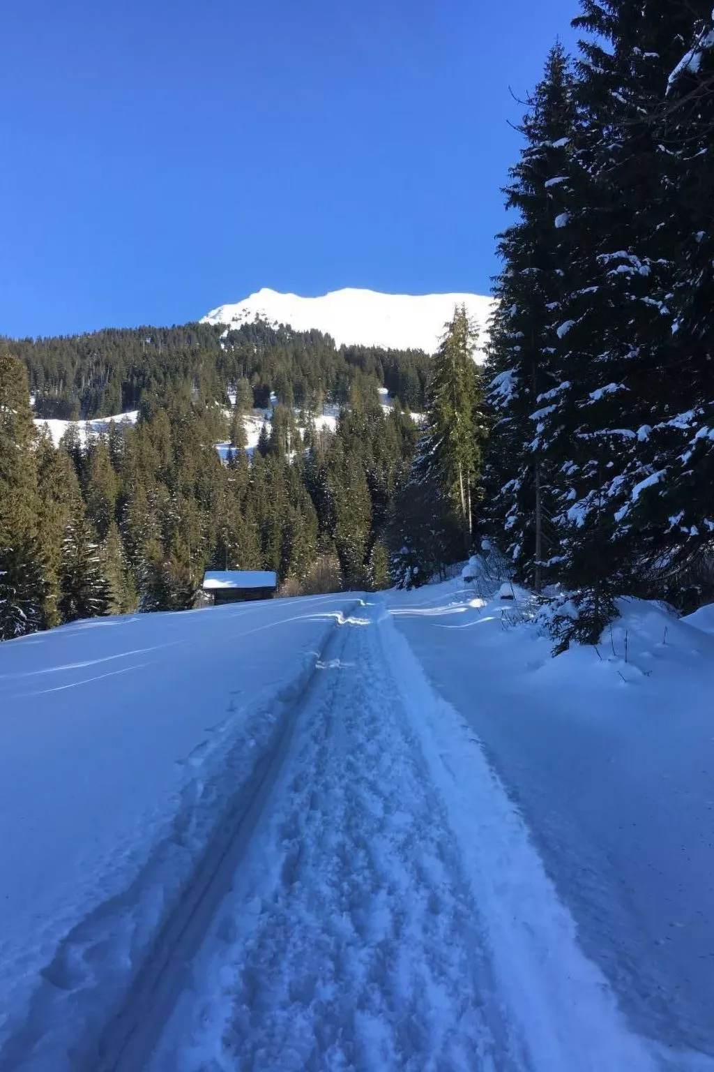 Fewo mit Herz-Buiten