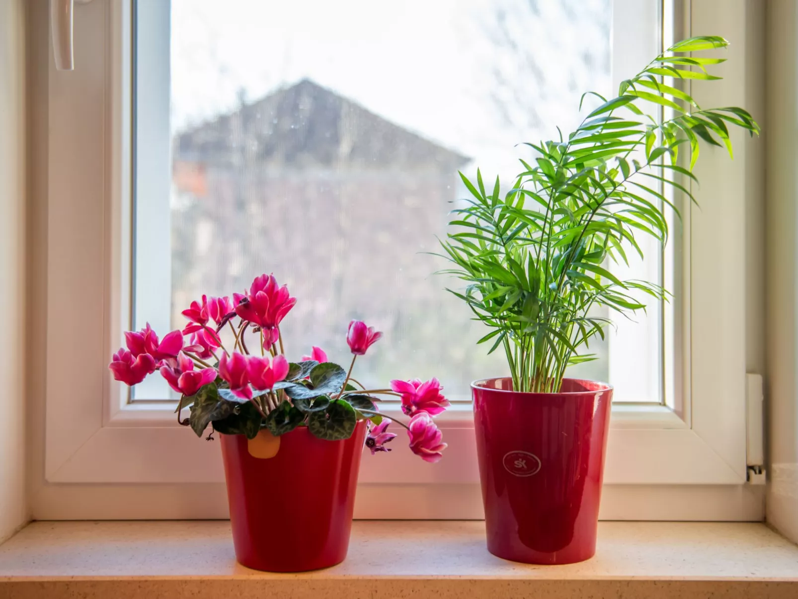 Gemütliches Ferienhaus Mia-Binnen