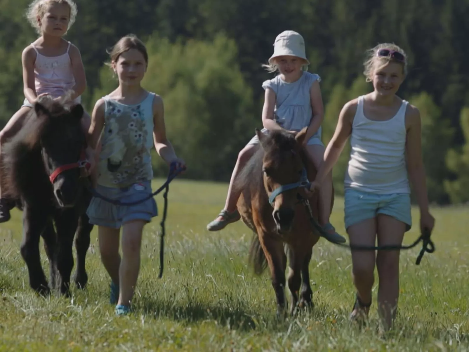 Für 4 Personen im Bayerischen Wald-Image-tags.info