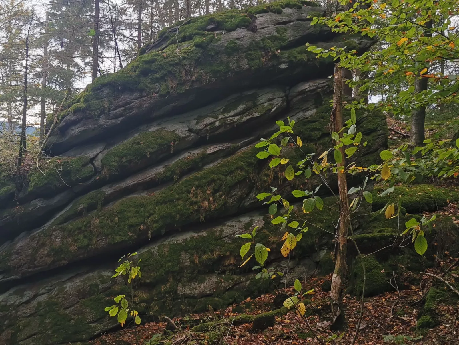 Apartment Lercher-Buiten