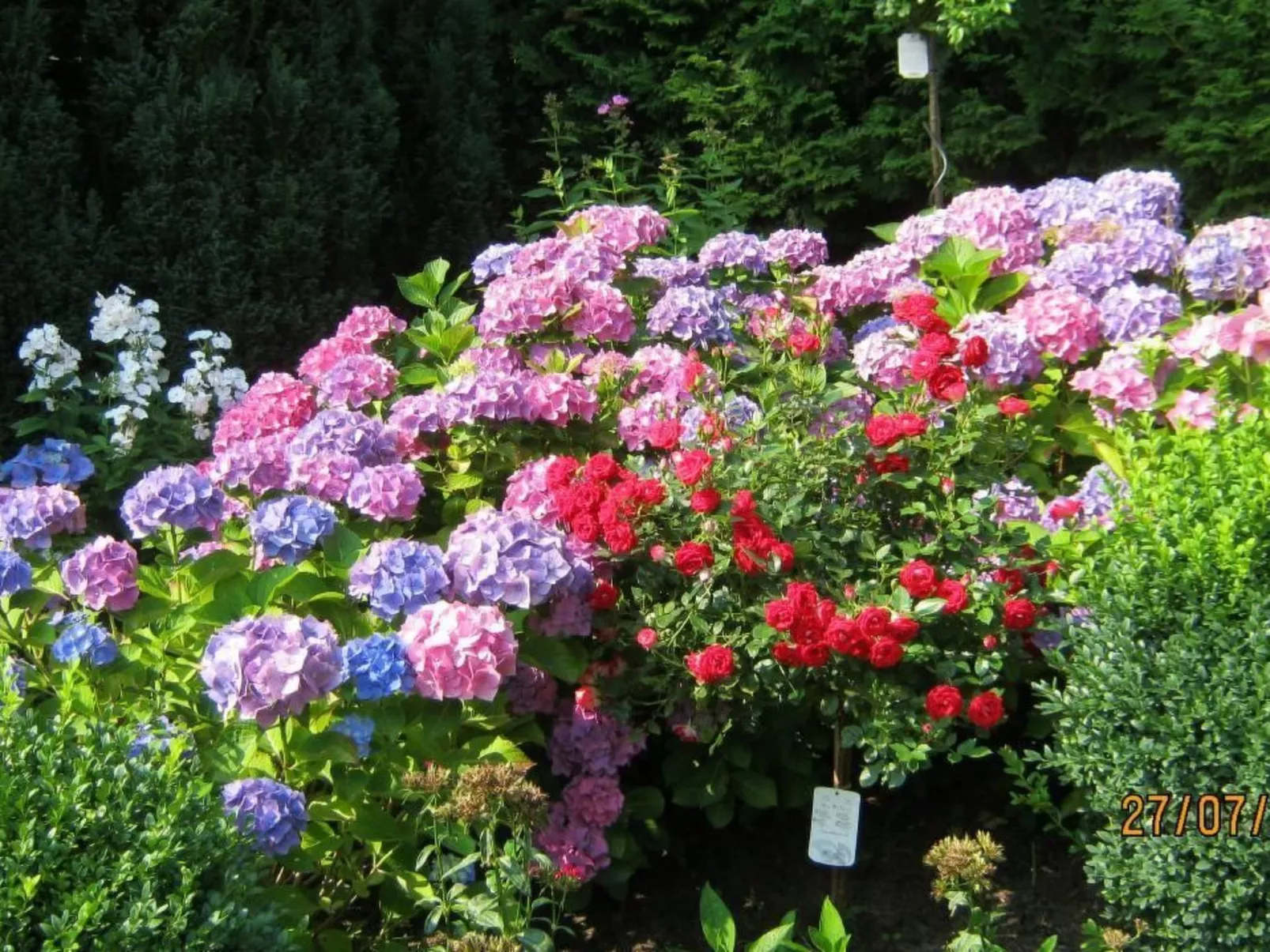 Traumferienwohnung in Hitzacker ot Bahrendorf-Buiten