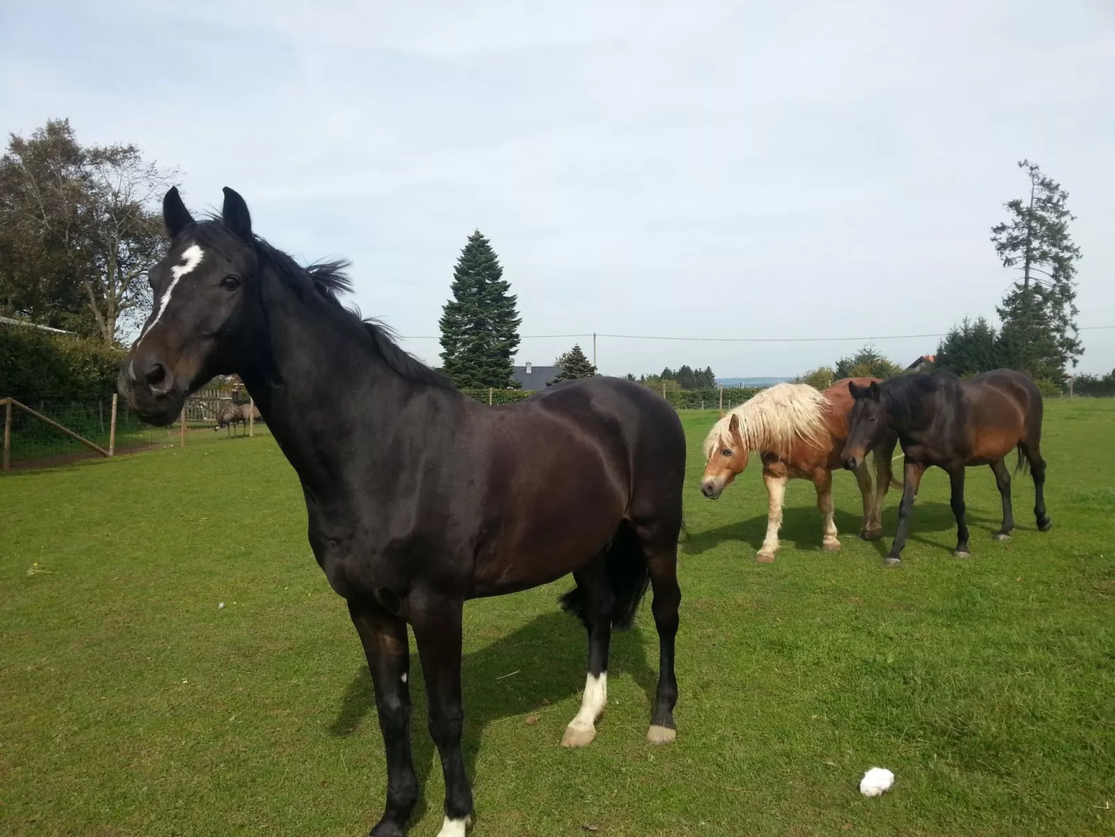 Scheunen Nest-Buiten
