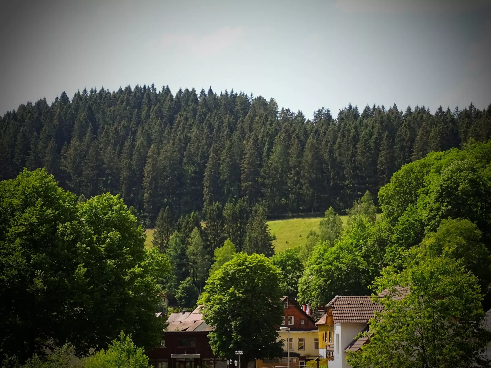 In Wildemann mit Terrasse-Buiten
