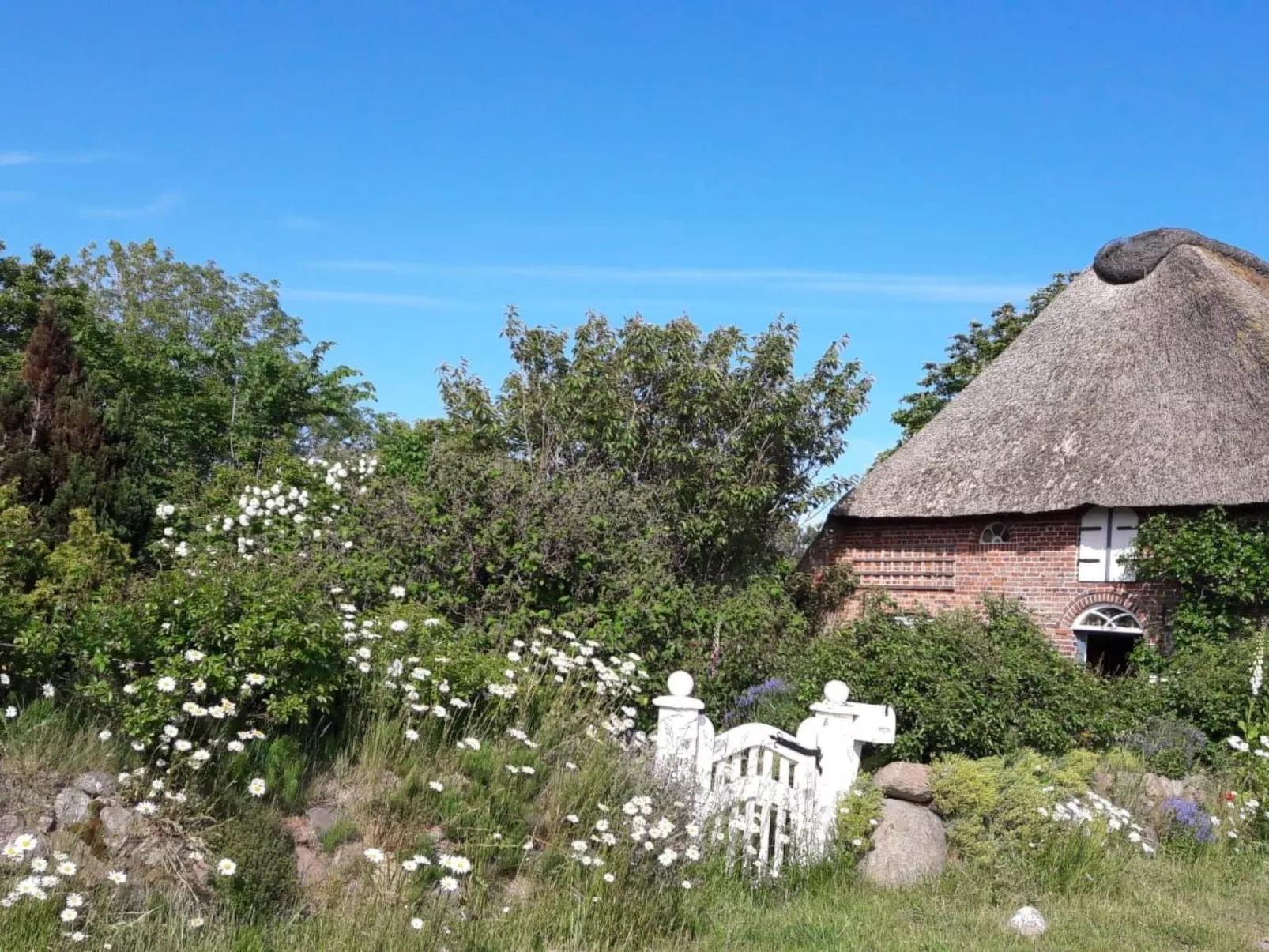 Apartment im Friesenhaus Dikhü-Image-tags.info