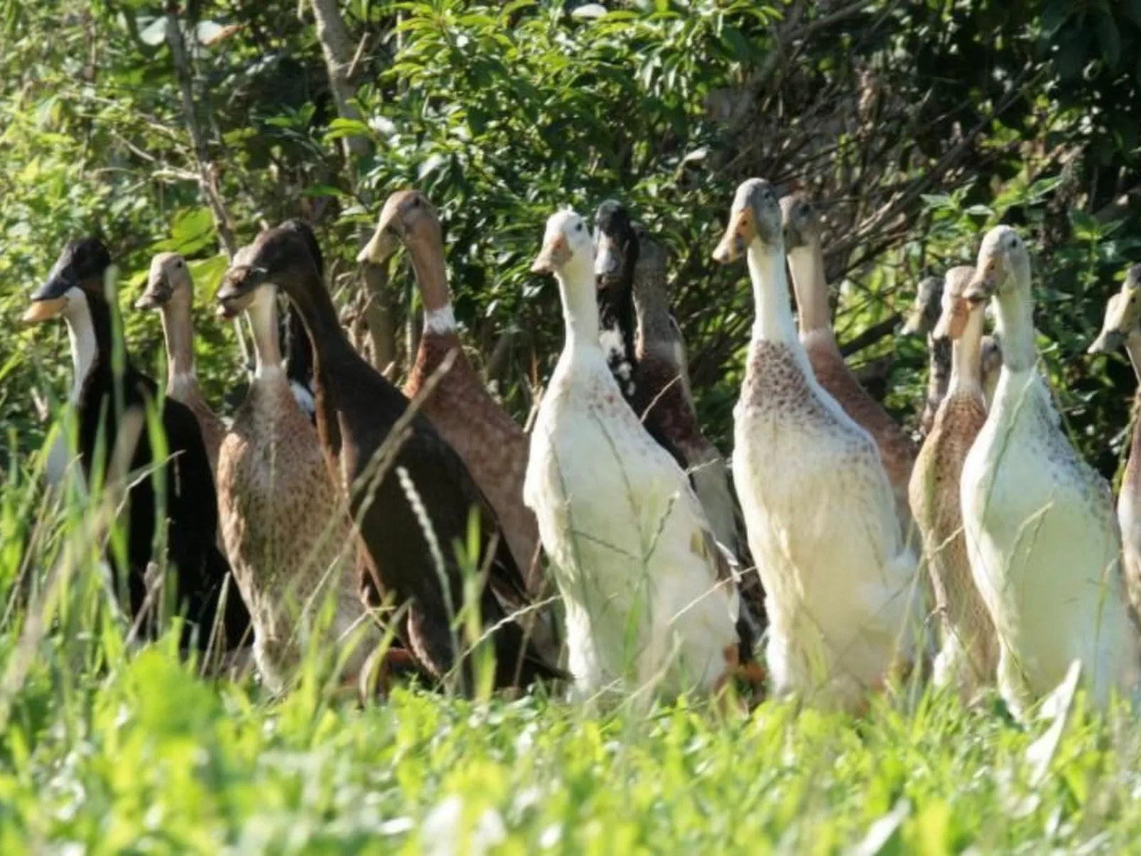 Mit Meerblick - direkt an der Ostsee-Image-tags.info