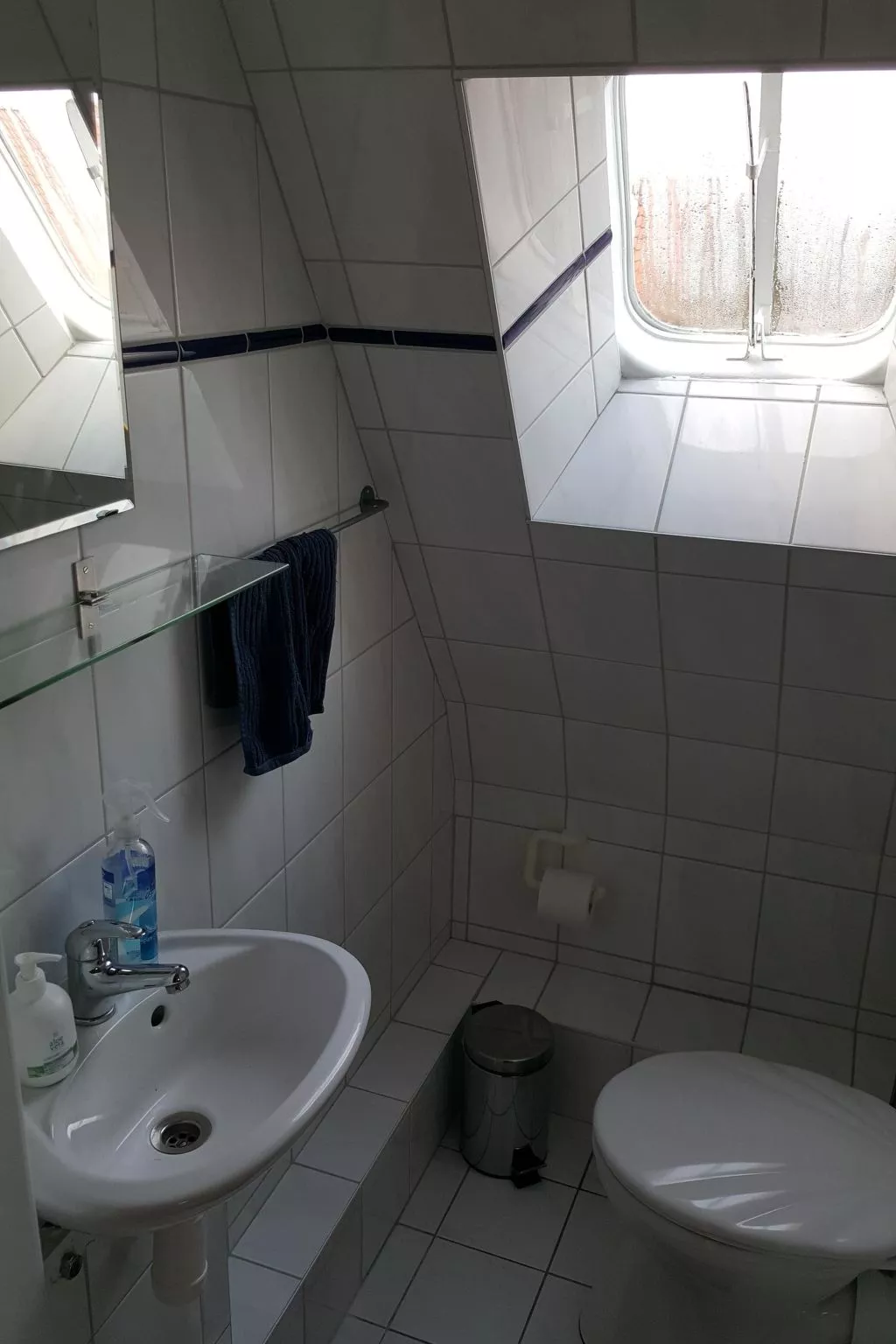 Erholung pur: Nordsee-Urlaub mit Hund-Binnen