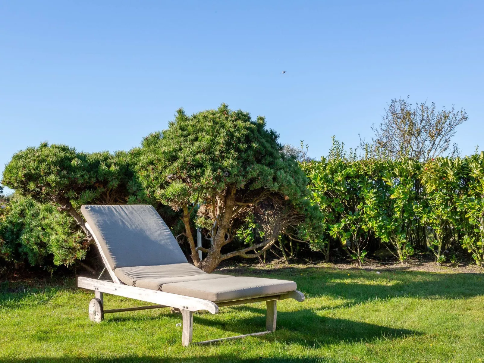 Sönshörn - S8M - in Munkmarsch-Buiten