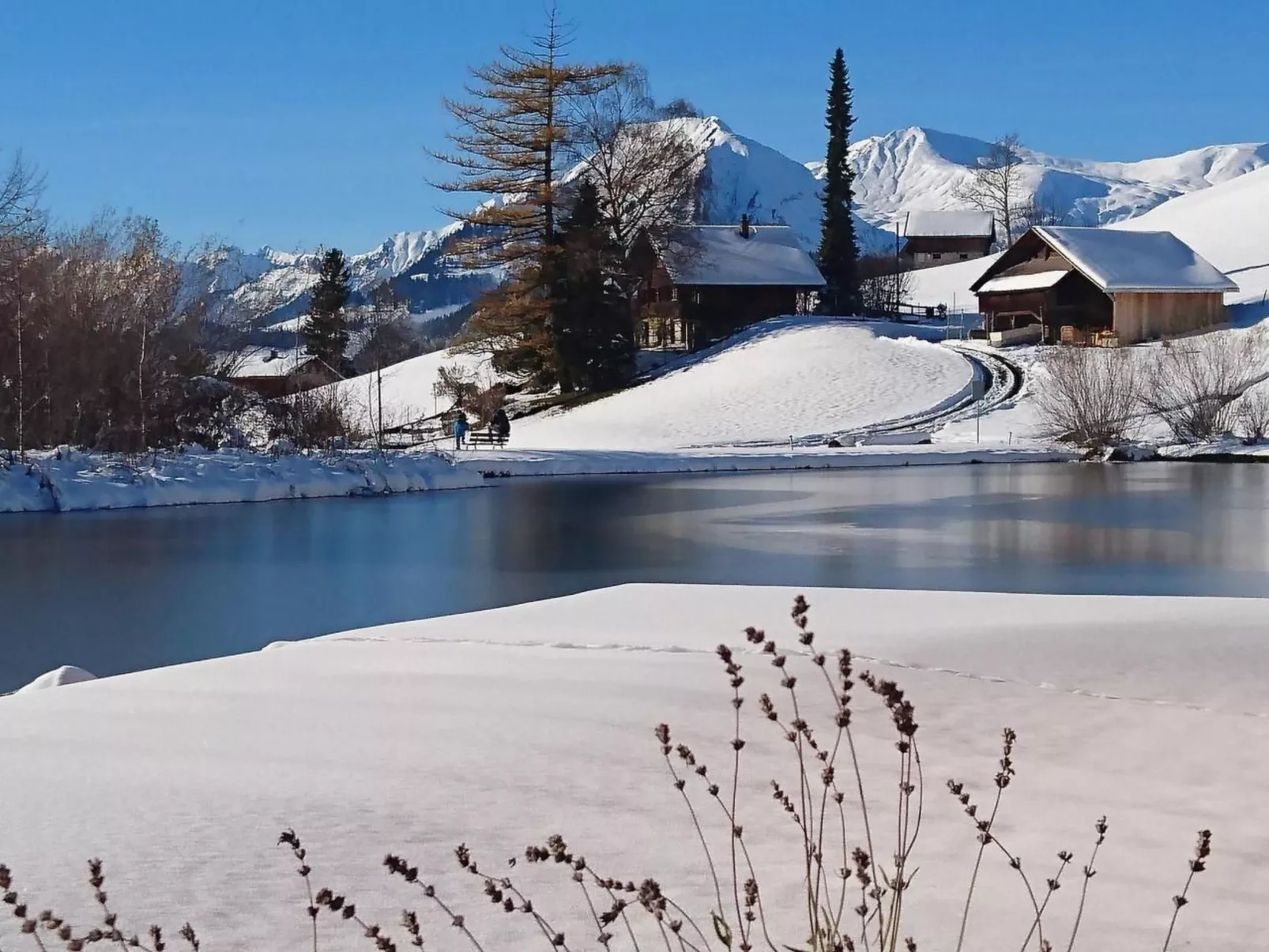 Obererli-Image-tags.info