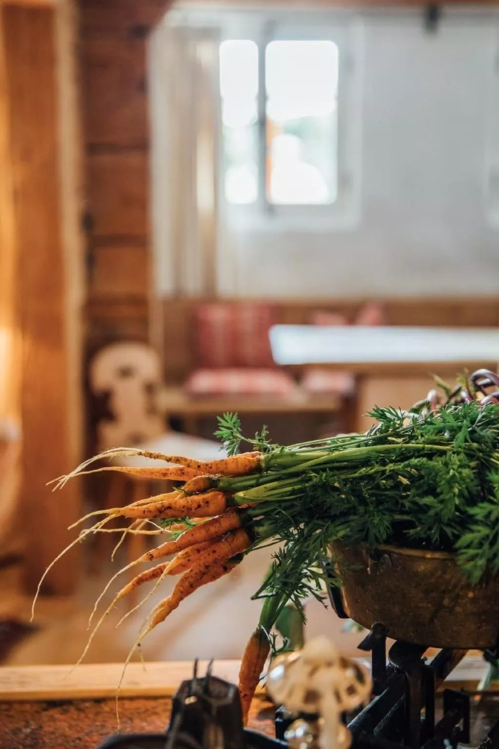 Alphütte Lenk-Gstaad-Binnen