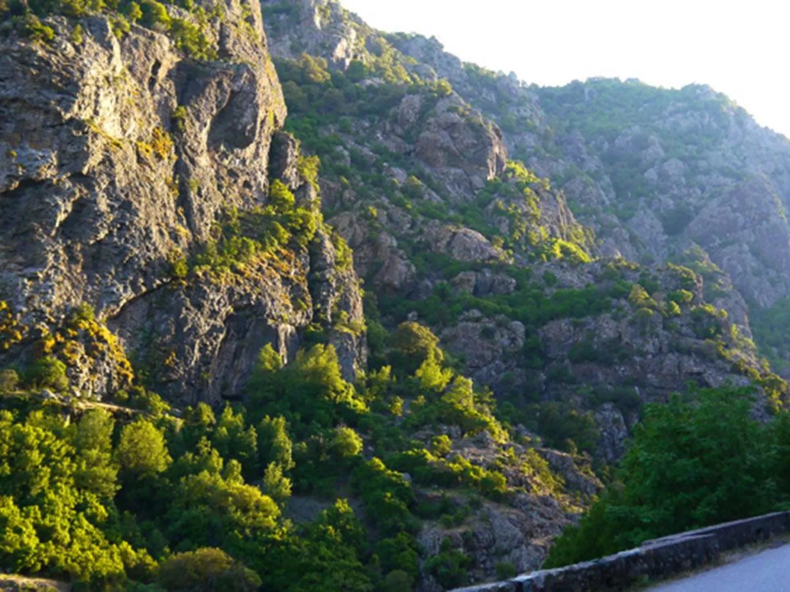 Haus mit Garten, Grill und Terrasse-Buiten