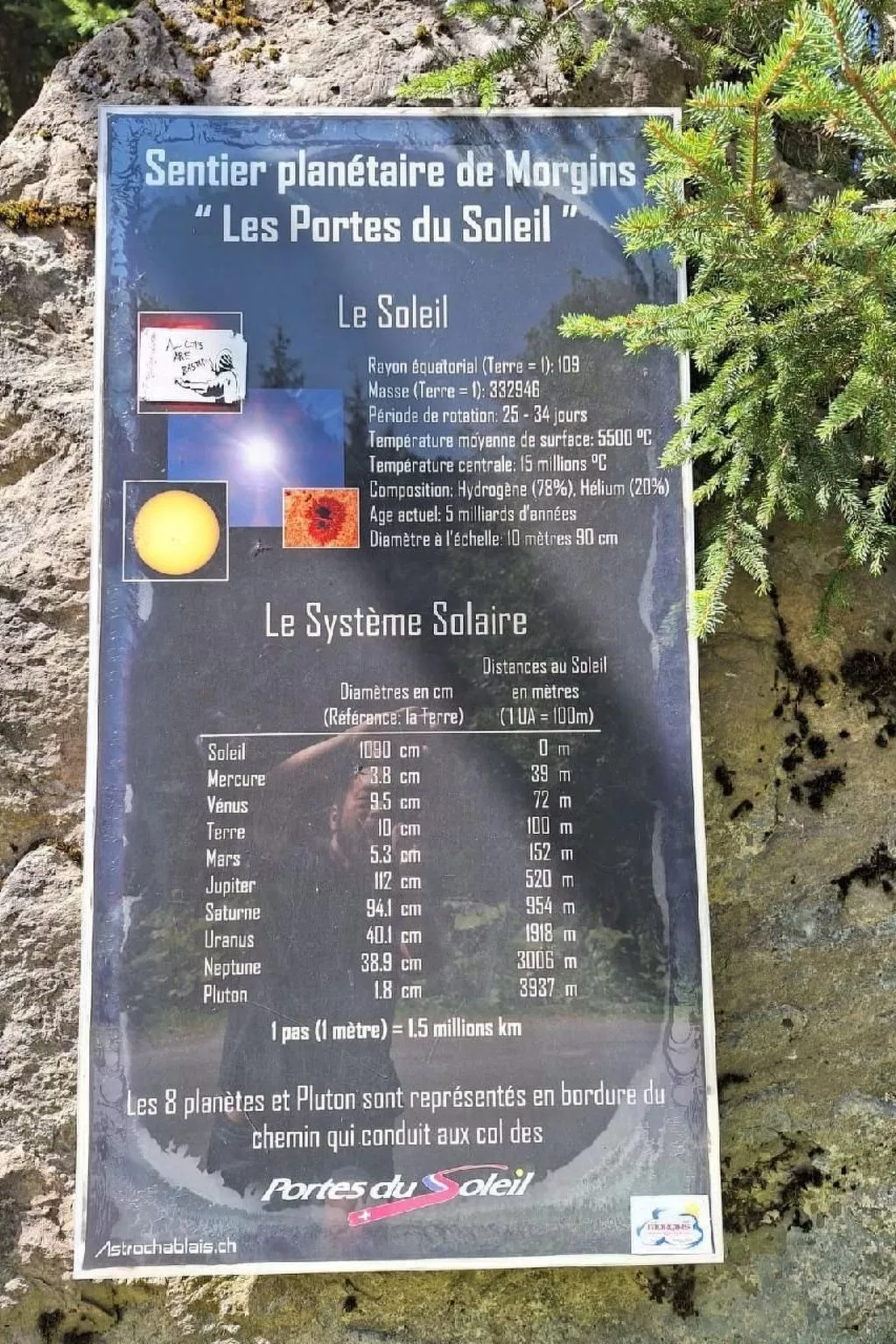 Apartment plus Pool-Image-tags.info