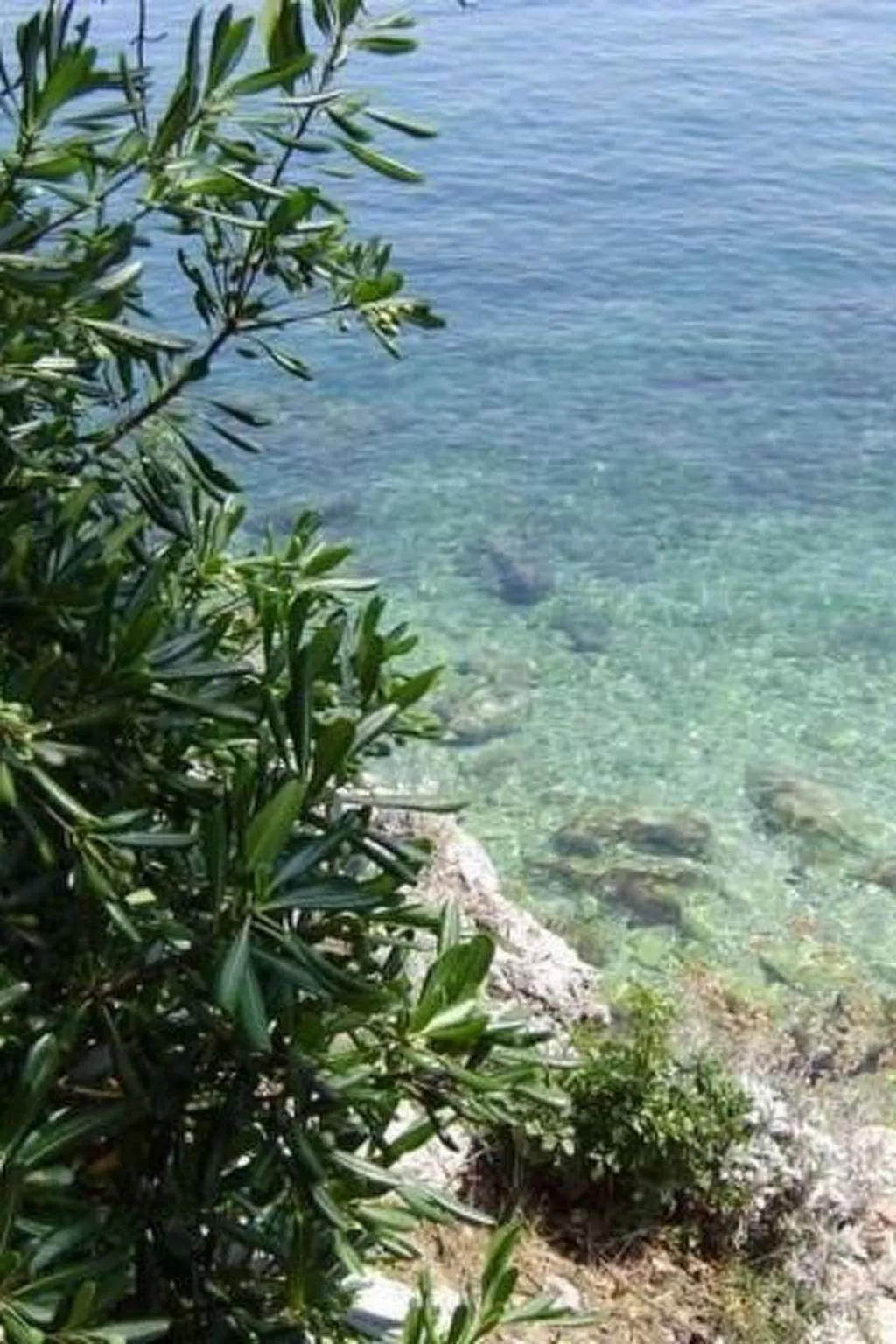 "Ein kleines Paradies"-Image-tags.info