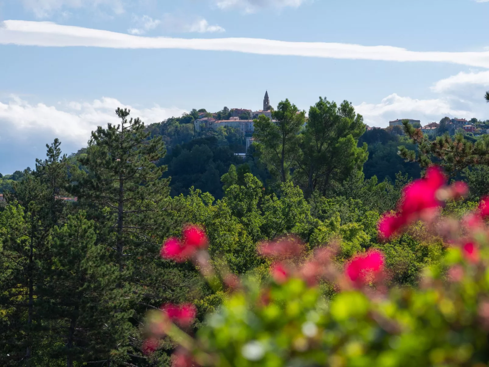 Haus Orange - Familienfreundliche Lage mit Pool-Buiten