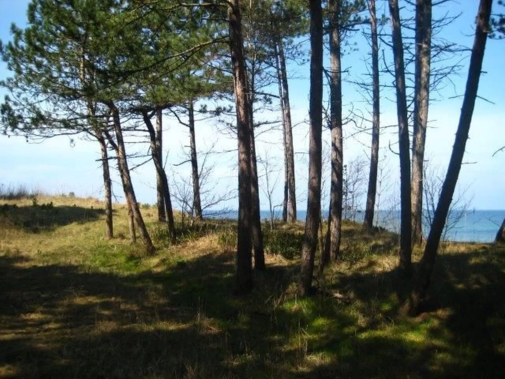 Ganzjährig bewohnbares Ferienhaus direkt am Strand von Dźwirzyno-Buiten