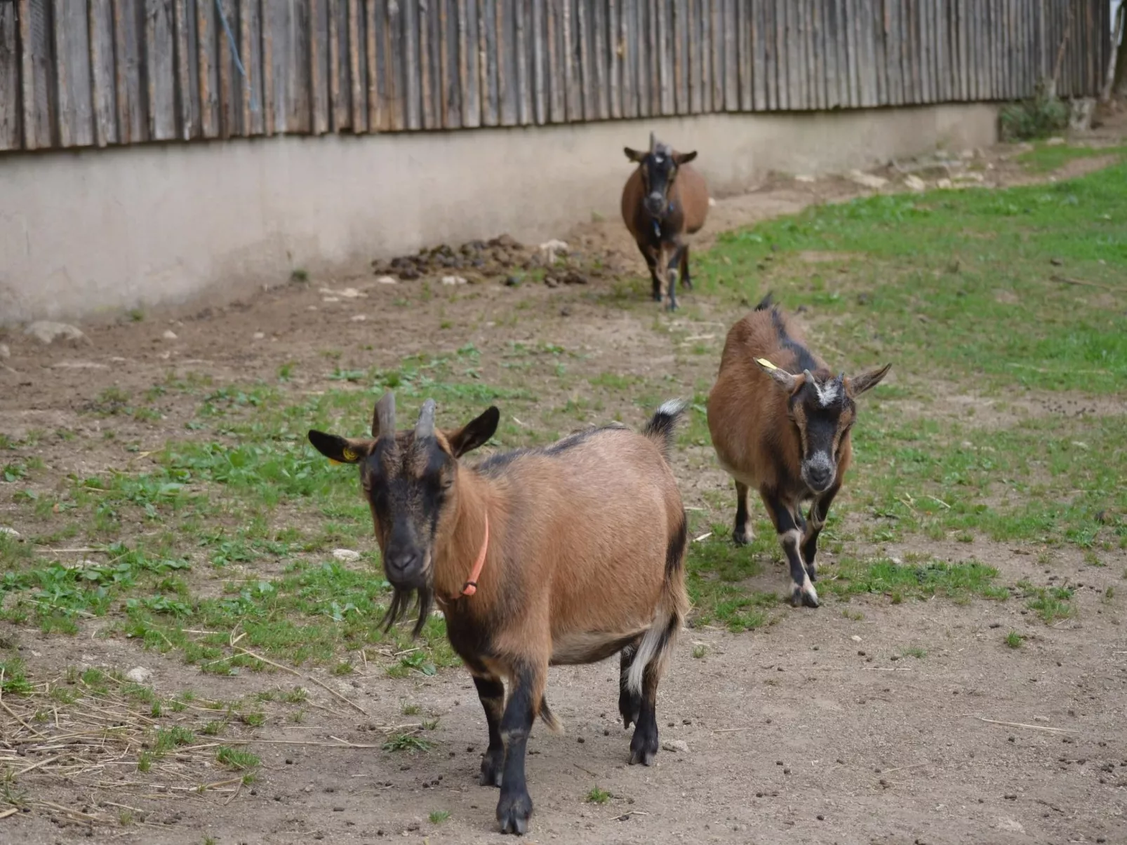 Großzügiges Ferienstudio für zwei Personen-Buiten