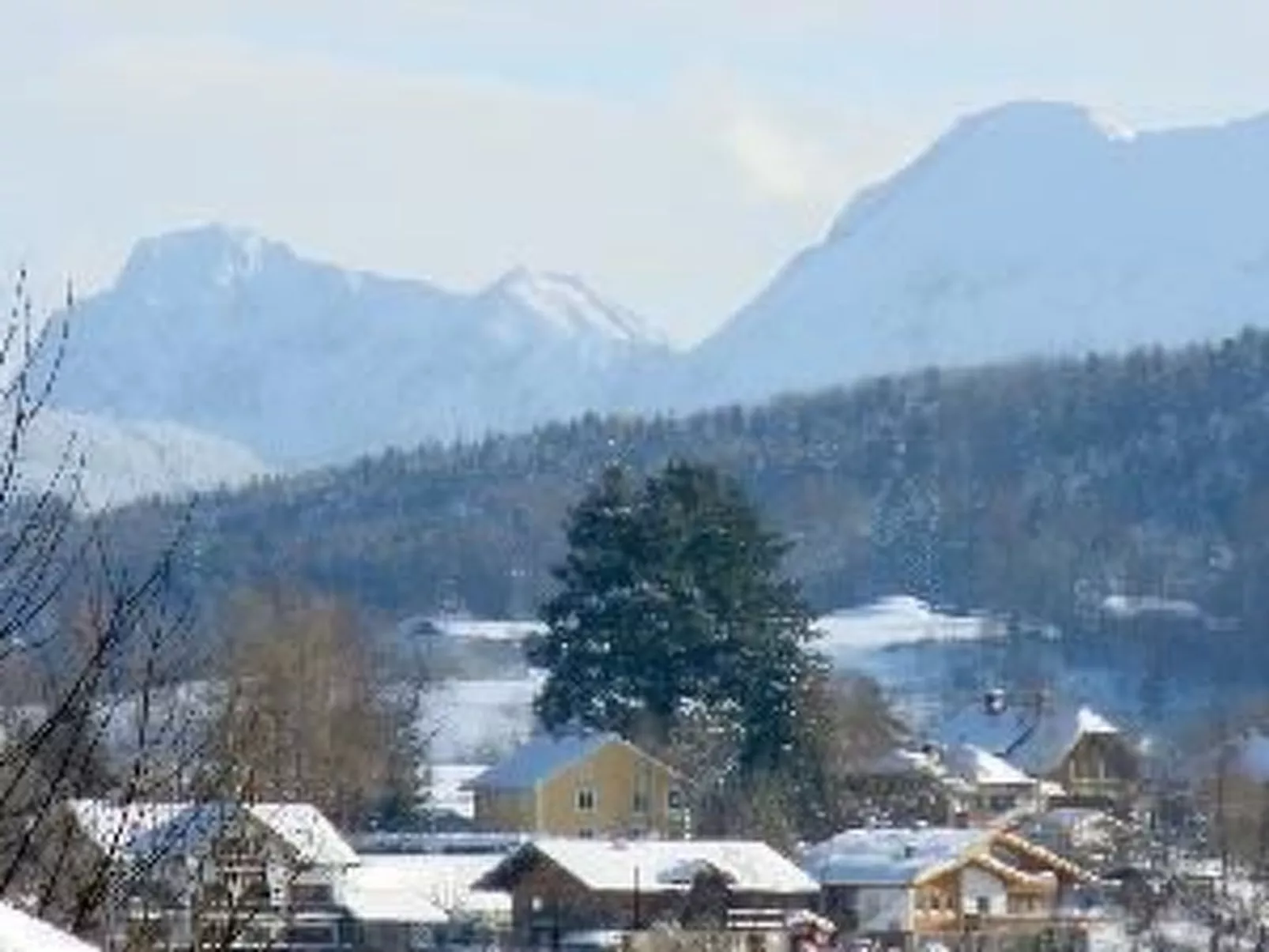 Martina-Image-tags.info