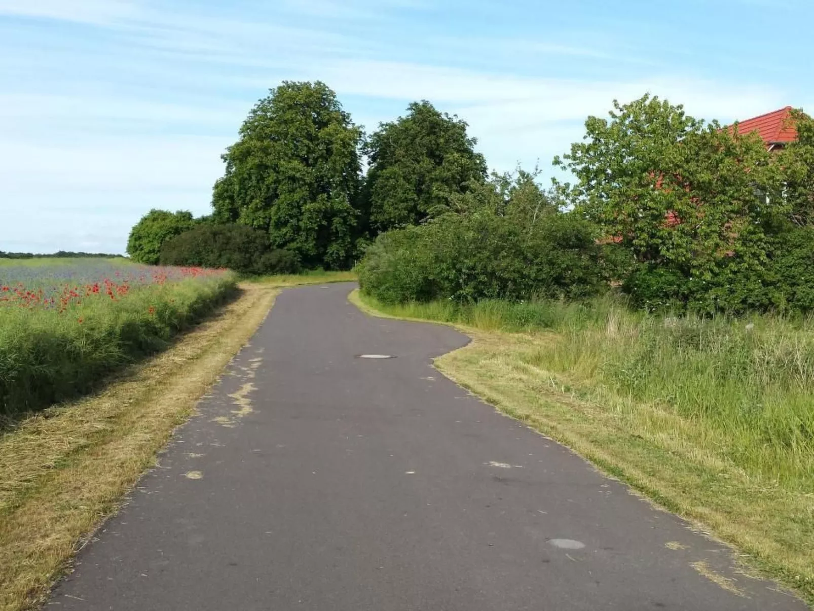 Schmetterling-Buiten