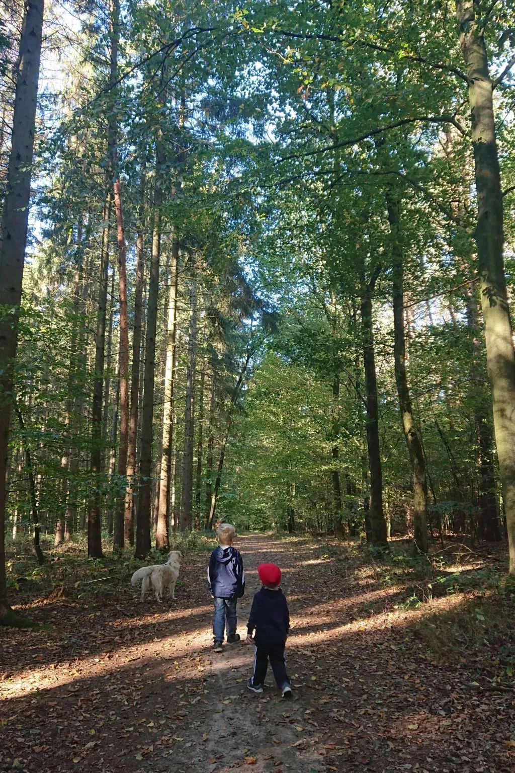Schaalsee - Auszeit-Buiten
