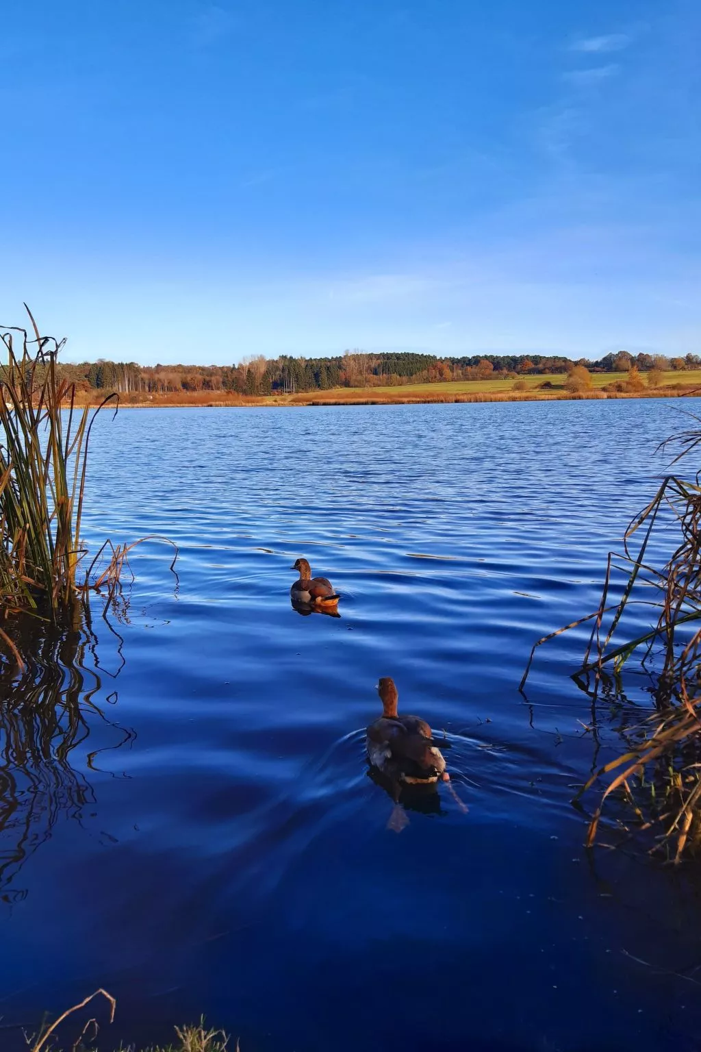 Landhaus Erika-Buiten