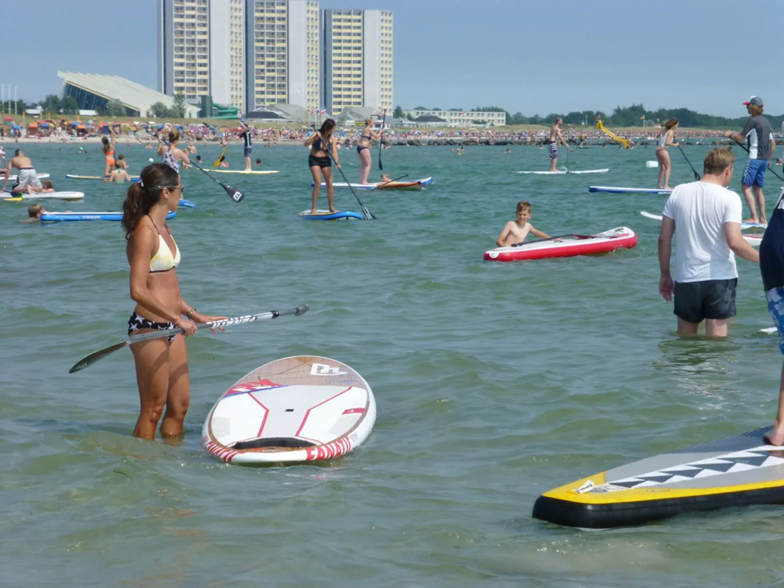 Heringsmöwe in Neue Tiefe-Buiten