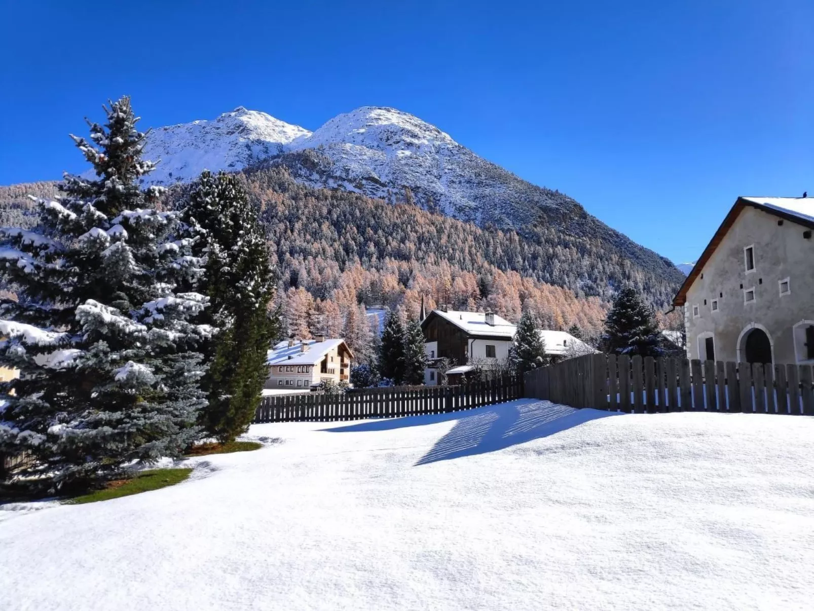 Chesa Lony-Image-tags.info