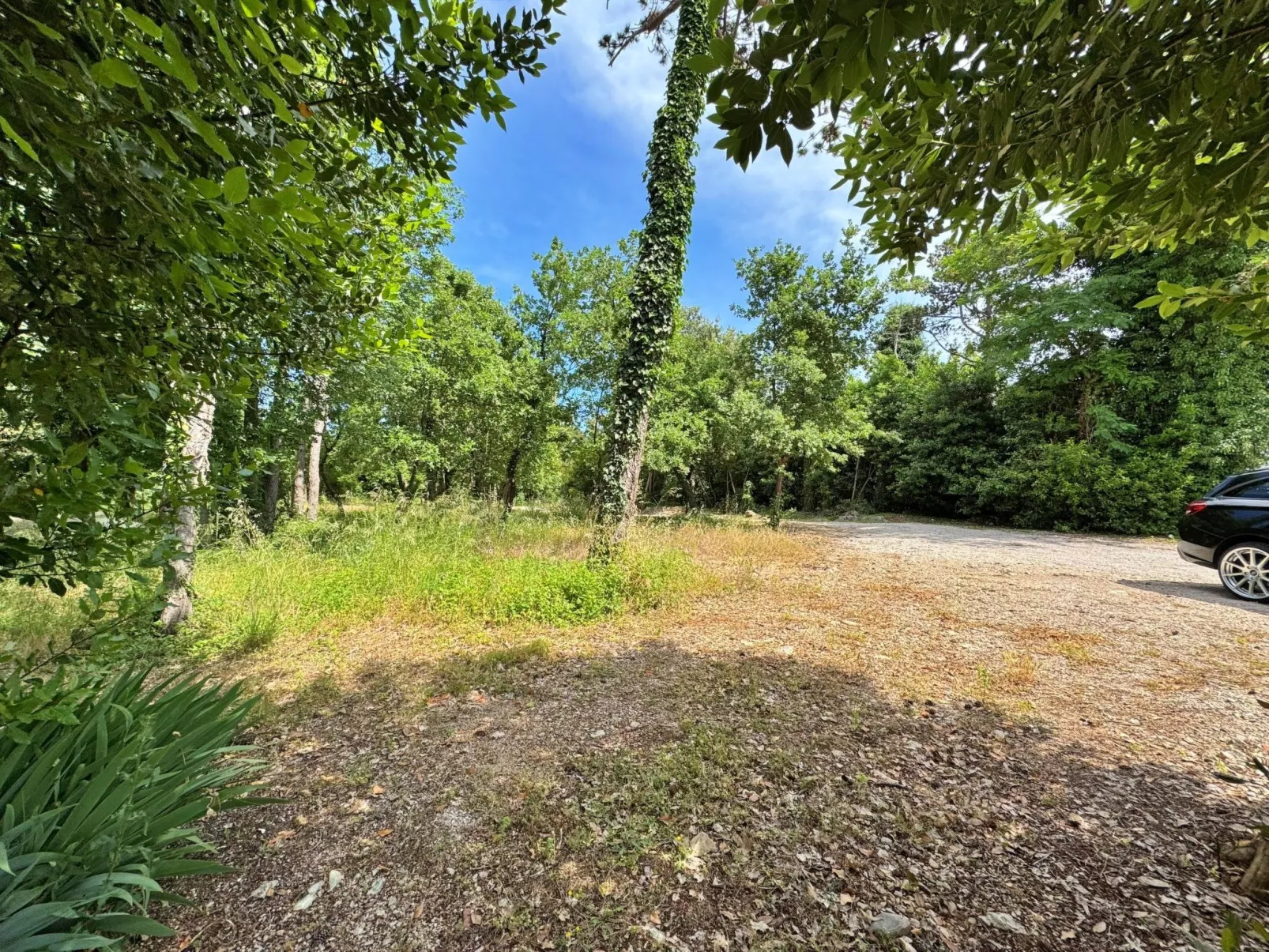 Apartment Scheich-Buiten